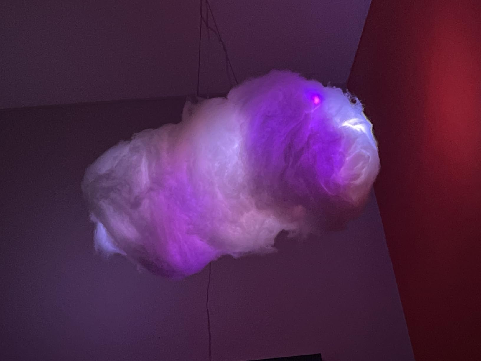 a9824253b75a6df95c4a5c19d823dcae